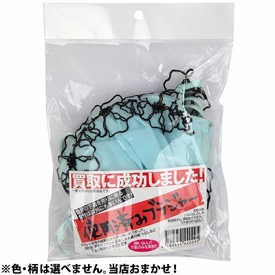 ����ɐ������܂����I�g�p�ς݃u���W���[�i����A�C�e���j