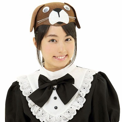 �A�j�}���X�q�@�C�k�i�R�X�v���ߑ��j