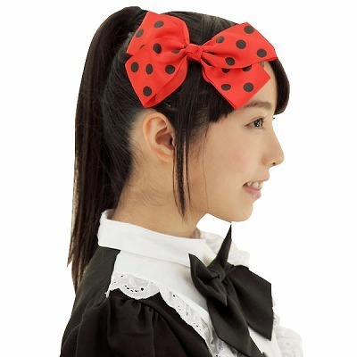 �h�b�g���{���@���b�h�i�R�X�v���ߑ��j