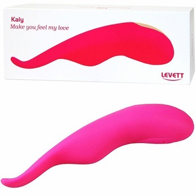 ���k�d�u�d�s�s���j�������i�L�����[�j�i�o�C�u�i�d���������j�j