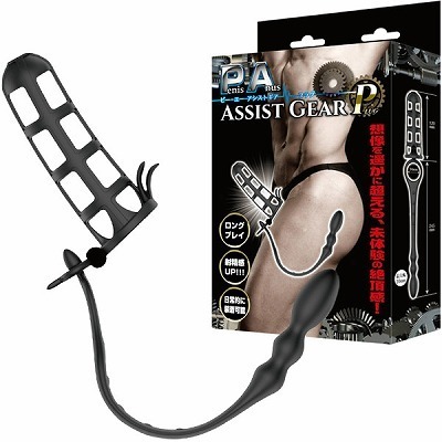 �o�`�A�V�X�g�M�A�@�i�v���O�j�i�A�i���j