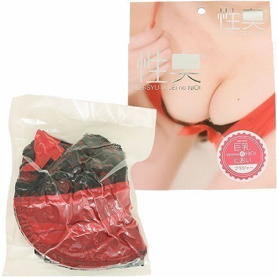 ���L�@�u���W���[�@�����̂ɂ����i����A�C�e���j