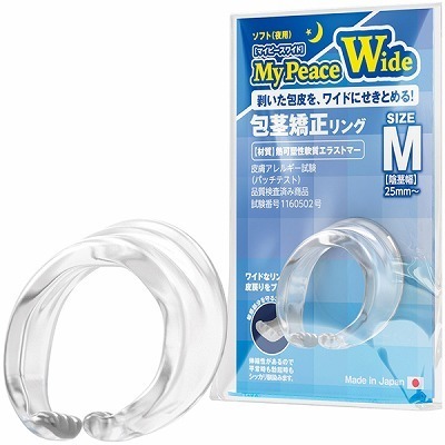 �}�C�s�[�X���C�h�@�\�t�g��p�@�i�l�j�i�y�j�X����E��s�����j