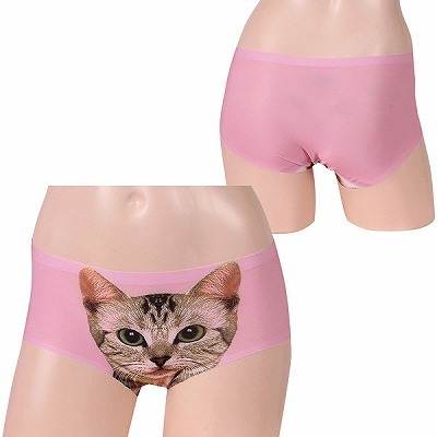 �L���b�g�v�����g���[���C�Y�{�N�T�[�@�s���N�i�����W�F���[�j