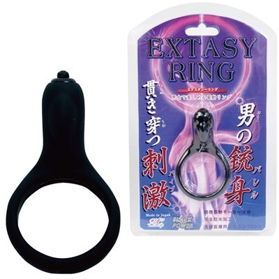 �G�N�X�^�V�[�����O�i�y�j�X�����O�b�Y�j