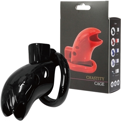 �`�F�X�e�e�B�P�[�W�@�i�u���b�N�j�i�r�l�O�b�Y�E�S����j