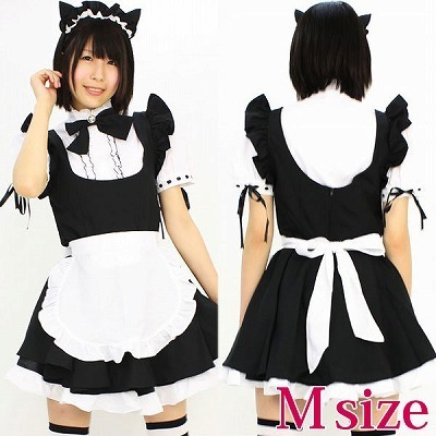 �}�I���C�h�@�l�i�R�X�v���ߑ��j