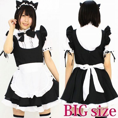 �}�I���C�h�@�a�h�f�i�R�X�v���ߑ��j