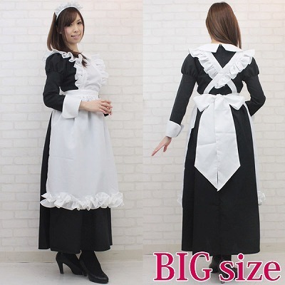 �}���[�����O���C�h�@�a�h�f�i�R�X�v���ߑ��j