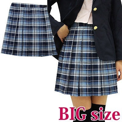 �`�F�b�N���v���[�c�X�J�[�g�@�a�h�f�i�R�X�v���ߑ��j