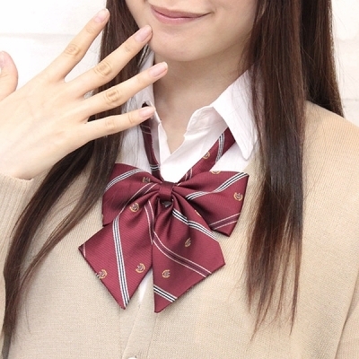 �X�N�[�����{���P�i�@��́i�R�X�v���ߑ��j