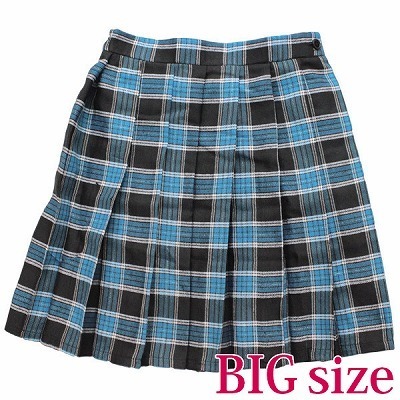 �`�F�b�N���v���[�c�X�J�[�g�@�a�h�f�i�R�X�v���ߑ��j