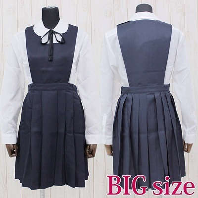 �������q������эZ�̐����i���~���j�@�a�h�f�i�R�X�v���ߑ��j