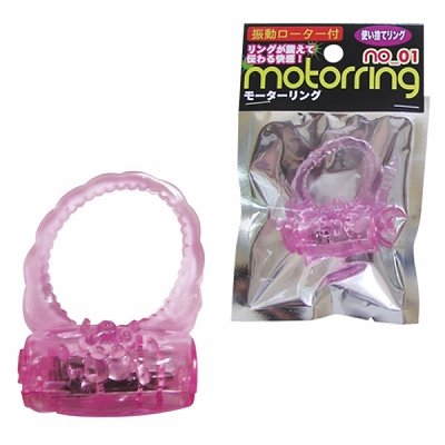 ���[�^�[�����O�@�i�P�j�i�y�j�X�����O�b�Y�j