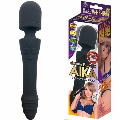 �f���}�u���b�N�@�i�`�h�j�`�@�m�[�}���j�i�o�C�u�i�d���������j�j