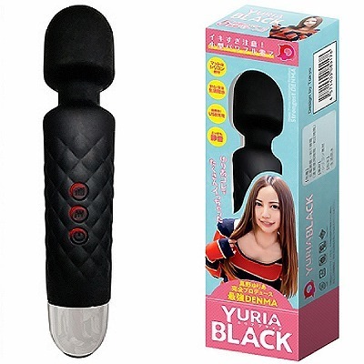 �x�t�q�h�`�i�����A�j�@�u���b�N�i�o�C�u�i�d���������j�j