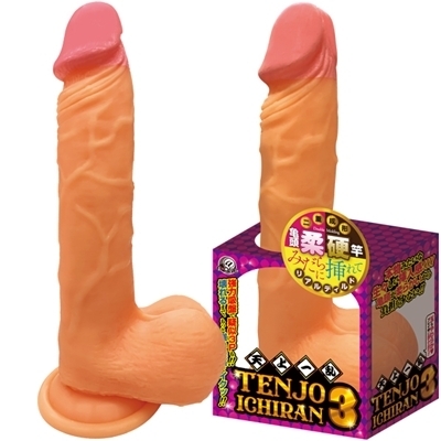 �V��ꗐ�@�i�R�j�i�f�B���h�j