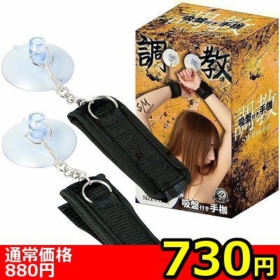 �y�V�R�O�~�����ʌ���z�����@�i�z�Օt����g�j������l�l�P�_���聄�i���������j