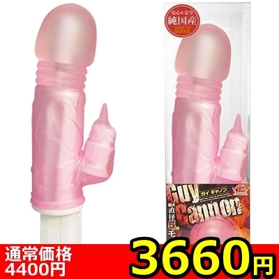 �y�R�U�U�O�~�����ʌ���z�K�C�L���m���@�i�s���N�j������l�l�P�_���聄�i���������j