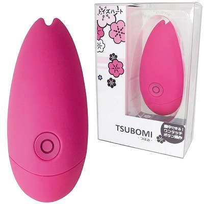 �s�r�t�a�n�l�h�@�|�ڂ݁|�i���[�^�[�j