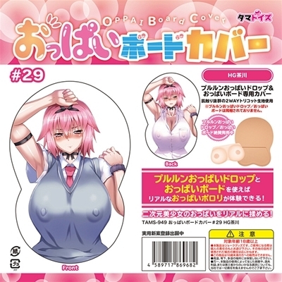 �����ς��{�[�h�J�o�[�@�Q�X�@�i�C���X�g�F�g�f����j�i�_�b�`���C�t�j