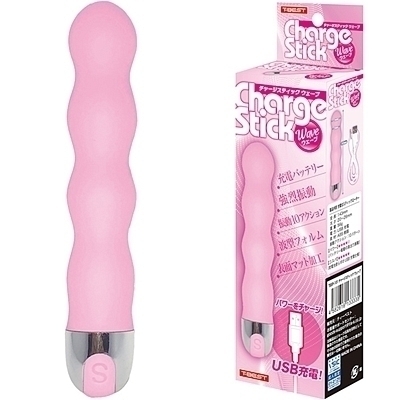 �`���[�W�X�e�B�b�N�@�i�E�F�[�u�j�i�o�C�u�i�d���������j�j