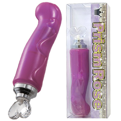 �v���Y�����[�Y�i�o�C�u�j