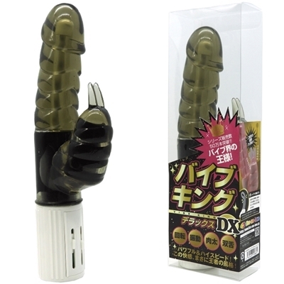 �o�C�u�L���O�c�w�@�i���N�@�X���[�N�j�i�o�C�u�i�d���������j�j