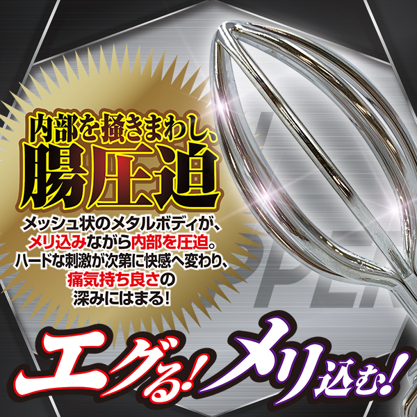 �A�i���z�C�b�p�[�@�i�l�j