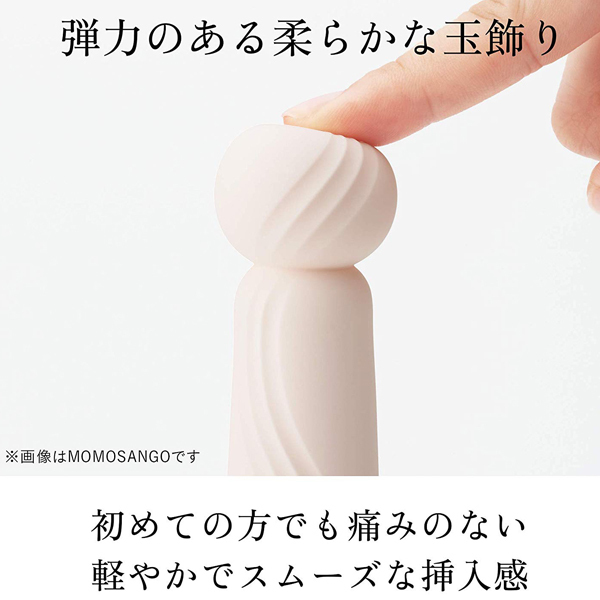 �����������i�C���n�j�@�v���W���[�E�A�C�e���E�����{�@�i�t�l�d�g�h�r�t�h�j