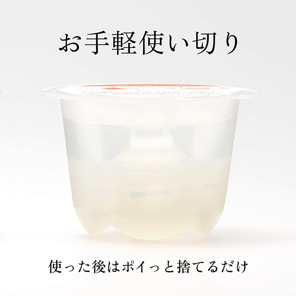 �����������i�C���n�j�@�v���W���[�E�A�C�e���E�v�`�@�i�k�h�k�x�j